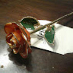 Meet your Posher, Jeaney